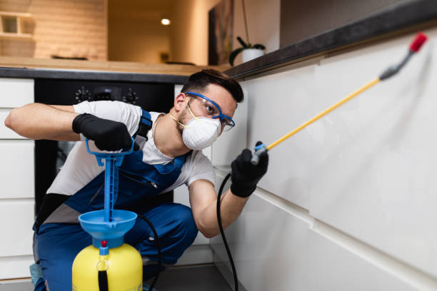 Best Pest Control Near Me  in Prineville, OR