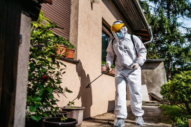 Best Best Pest Control Companies  in Prineville, OR