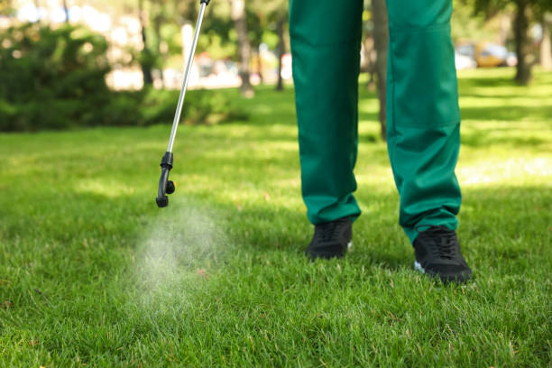 Best Wasp Removal Services  in Prineville, OR