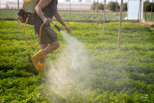 Best Emergency Pest Control  in Prineville, OR