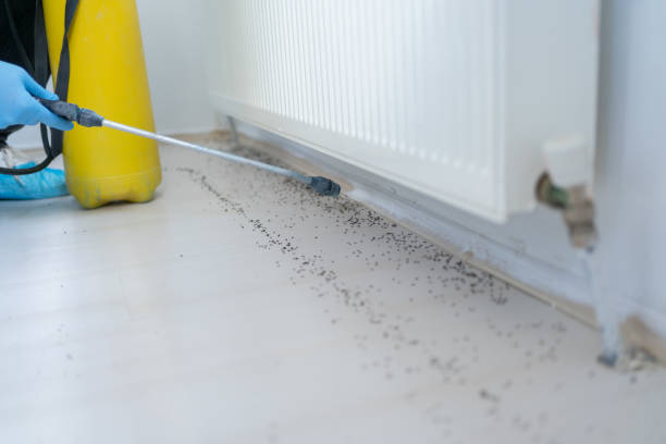 Best Cockroach Control Services  in Prineville, OR