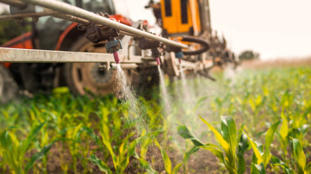 Best Pest Removal Services  in Prineville, OR